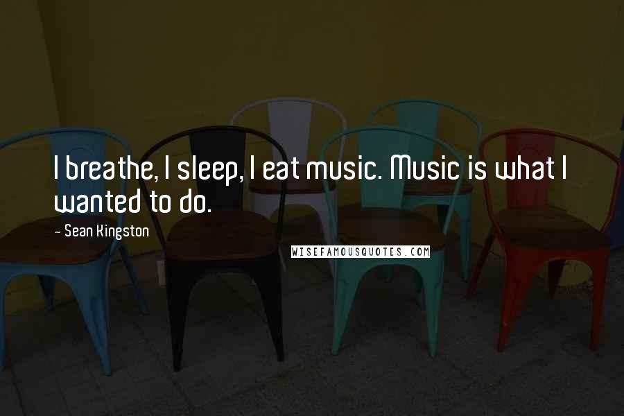 Sean Kingston Quotes: I breathe, I sleep, I eat music. Music is what I wanted to do.