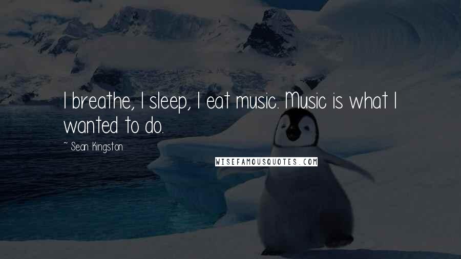 Sean Kingston Quotes: I breathe, I sleep, I eat music. Music is what I wanted to do.