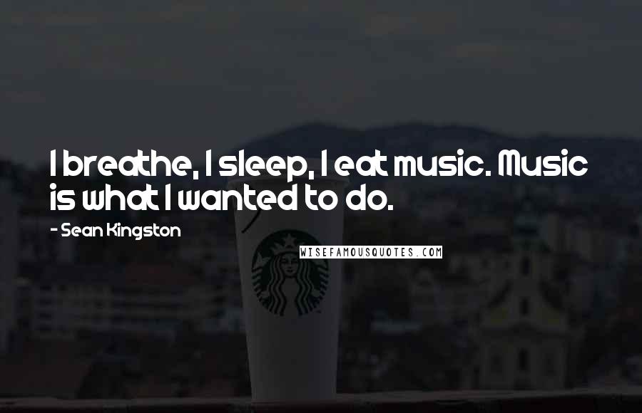 Sean Kingston Quotes: I breathe, I sleep, I eat music. Music is what I wanted to do.