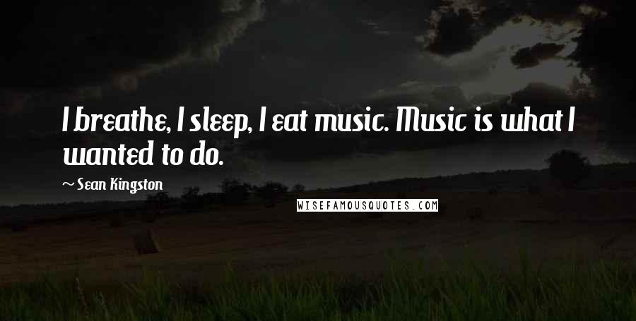 Sean Kingston Quotes: I breathe, I sleep, I eat music. Music is what I wanted to do.