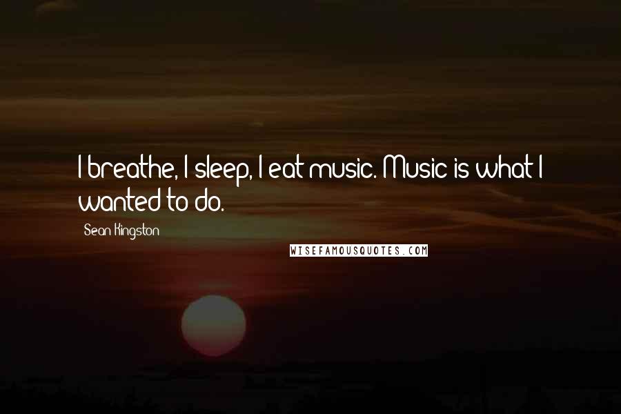 Sean Kingston Quotes: I breathe, I sleep, I eat music. Music is what I wanted to do.