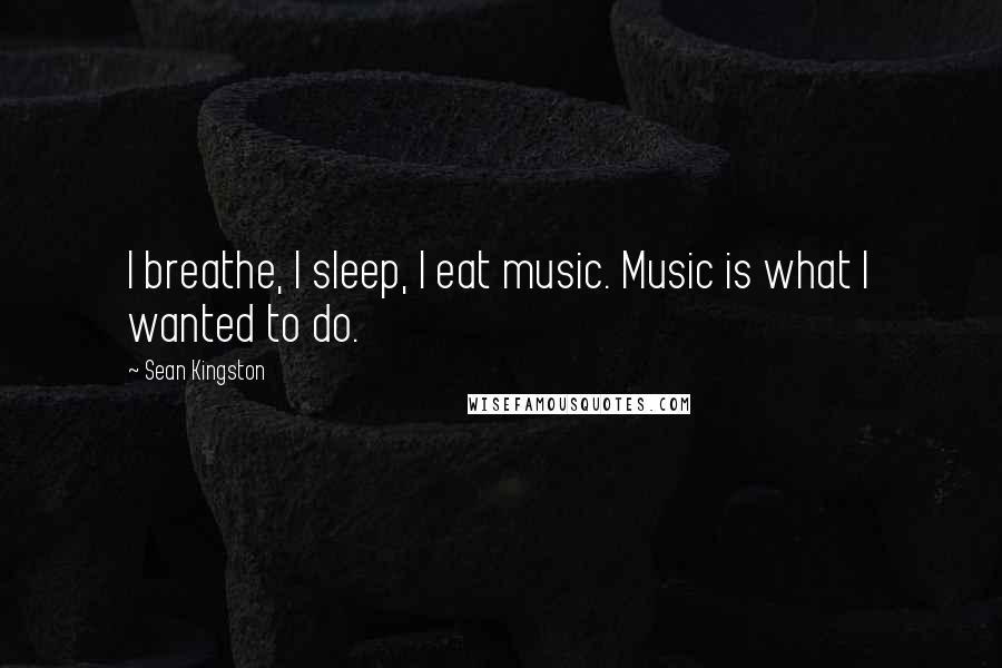 Sean Kingston Quotes: I breathe, I sleep, I eat music. Music is what I wanted to do.