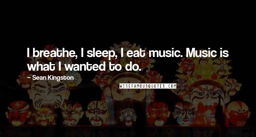 Sean Kingston Quotes: I breathe, I sleep, I eat music. Music is what I wanted to do.