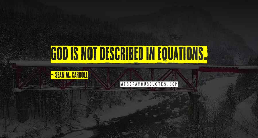 Sean M. Carroll Quotes: God is not described in equations.