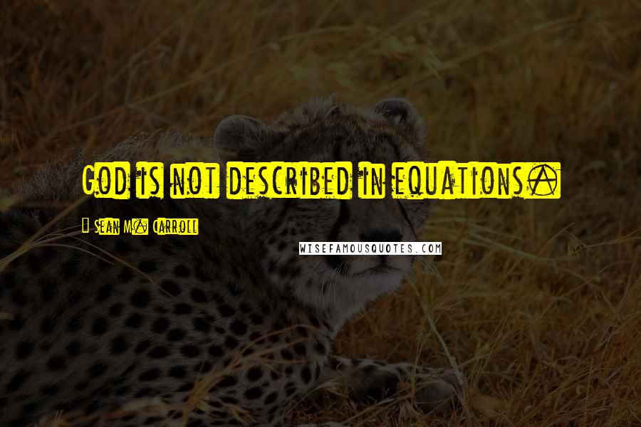 Sean M. Carroll Quotes: God is not described in equations.