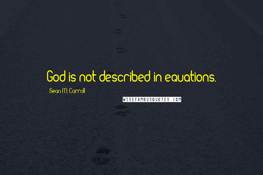 Sean M. Carroll Quotes: God is not described in equations.