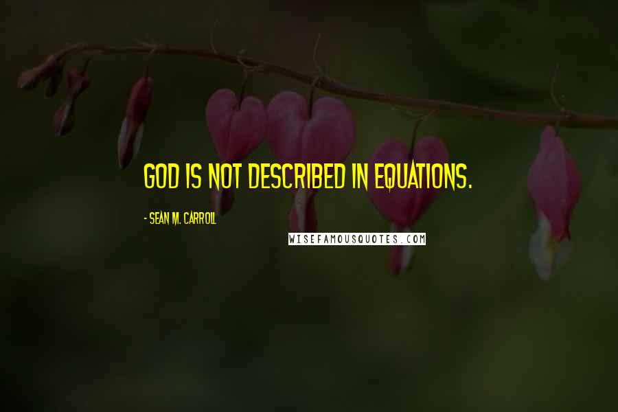 Sean M. Carroll Quotes: God is not described in equations.