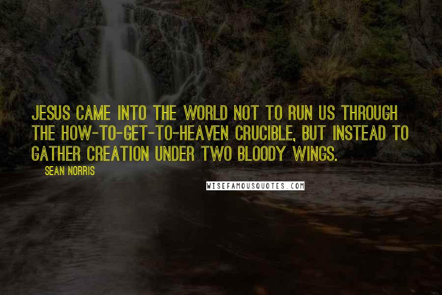Sean Norris Quotes: Jesus came into the world not to run us through the how-to-get-to-heaven crucible, but instead to gather creation under two bloody wings.
