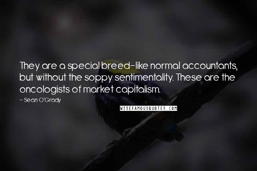 Sean O'Grady Quotes: They are a special breed-like normal accountants, but without the soppy sentimentality. These are the oncologists of market capitalism.