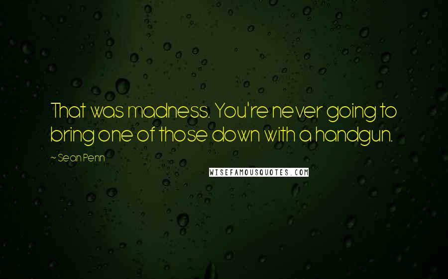 Sean Penn Quotes: That was madness. You're never going to bring one of those down with a handgun.