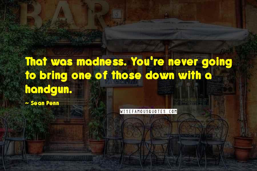 Sean Penn Quotes: That was madness. You're never going to bring one of those down with a handgun.