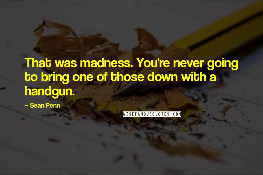 Sean Penn Quotes: That was madness. You're never going to bring one of those down with a handgun.