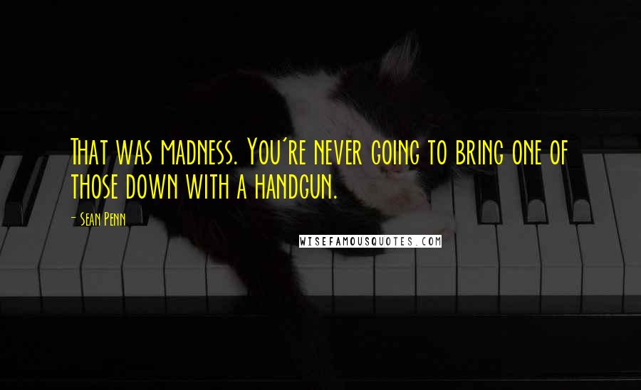 Sean Penn Quotes: That was madness. You're never going to bring one of those down with a handgun.