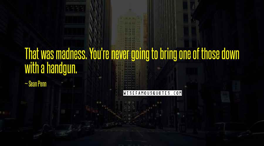 Sean Penn Quotes: That was madness. You're never going to bring one of those down with a handgun.