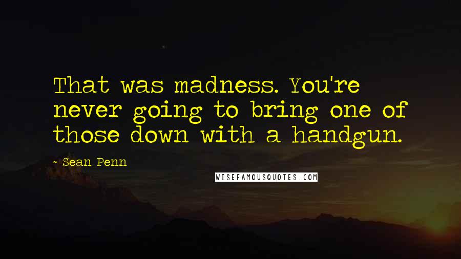 Sean Penn Quotes: That was madness. You're never going to bring one of those down with a handgun.
