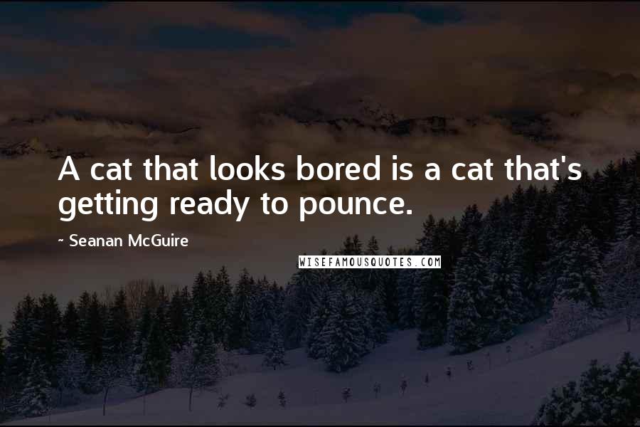 Seanan McGuire Quotes: A cat that looks bored is a cat that's getting ready to pounce.