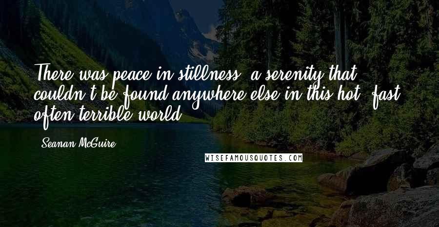 Seanan McGuire Quotes: There was peace in stillness, a serenity that couldn't be found anywhere else in this hot, fast, often terrible world.