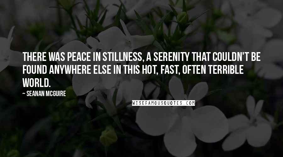 Seanan McGuire Quotes: There was peace in stillness, a serenity that couldn't be found anywhere else in this hot, fast, often terrible world.