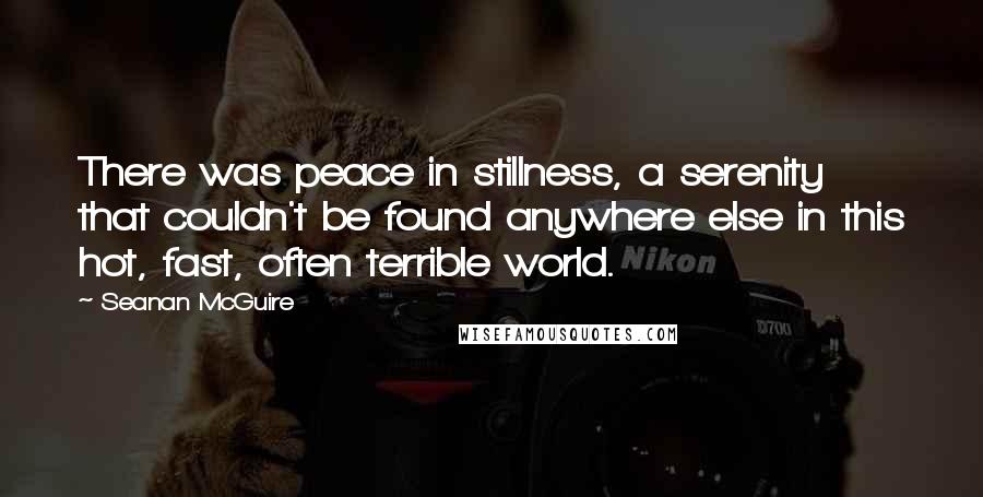 Seanan McGuire Quotes: There was peace in stillness, a serenity that couldn't be found anywhere else in this hot, fast, often terrible world.