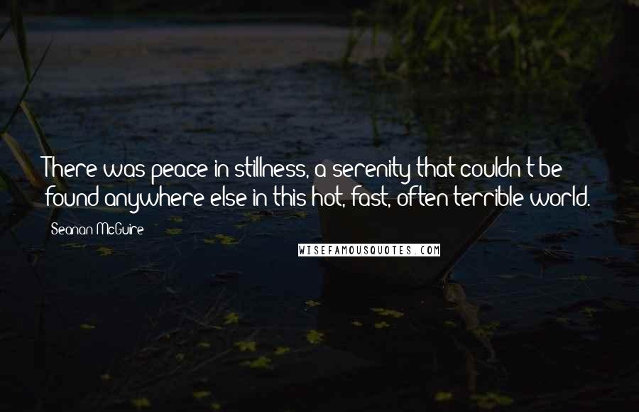 Seanan McGuire Quotes: There was peace in stillness, a serenity that couldn't be found anywhere else in this hot, fast, often terrible world.