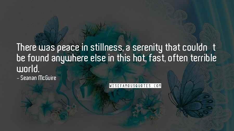 Seanan McGuire Quotes: There was peace in stillness, a serenity that couldn't be found anywhere else in this hot, fast, often terrible world.