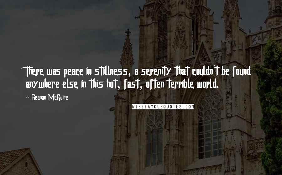 Seanan McGuire Quotes: There was peace in stillness, a serenity that couldn't be found anywhere else in this hot, fast, often terrible world.