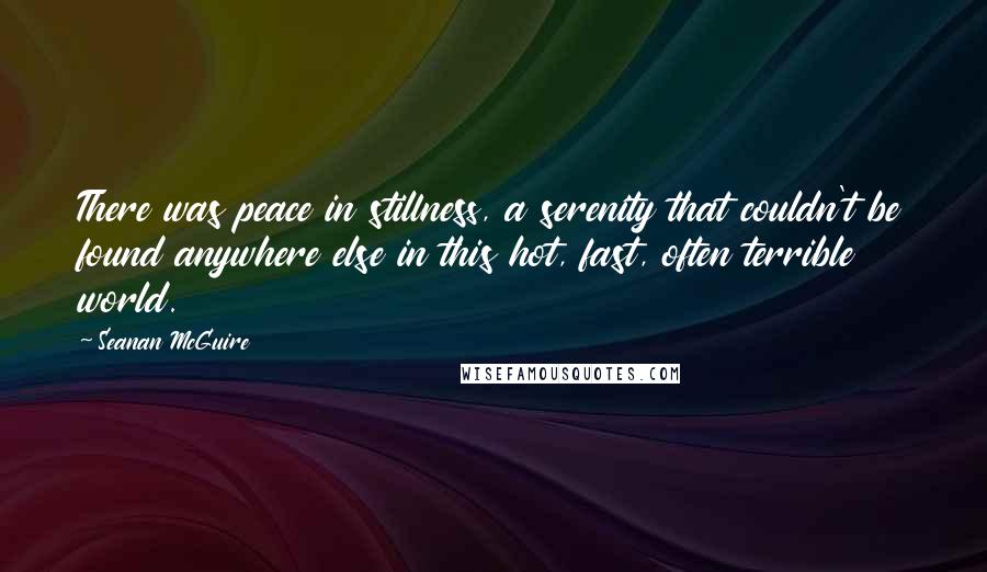 Seanan McGuire Quotes: There was peace in stillness, a serenity that couldn't be found anywhere else in this hot, fast, often terrible world.