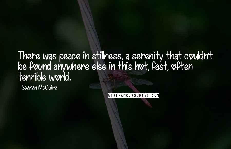 Seanan McGuire Quotes: There was peace in stillness, a serenity that couldn't be found anywhere else in this hot, fast, often terrible world.