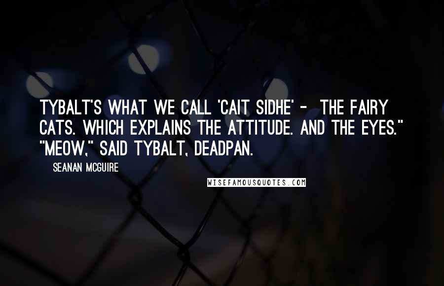 Seanan McGuire Quotes: Tybalt's what we call 'Cait Sidhe' -  the fairy cats. Which explains the attitude. And the eyes." "Meow," said Tybalt, deadpan.