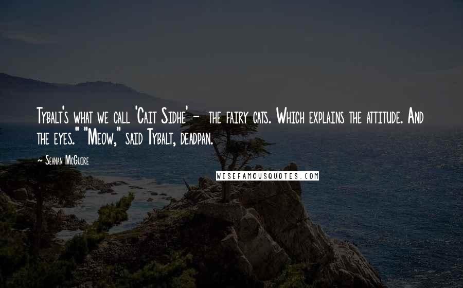 Seanan McGuire Quotes: Tybalt's what we call 'Cait Sidhe' -  the fairy cats. Which explains the attitude. And the eyes." "Meow," said Tybalt, deadpan.