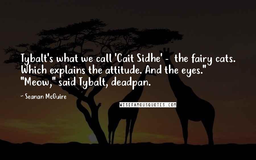 Seanan McGuire Quotes: Tybalt's what we call 'Cait Sidhe' -  the fairy cats. Which explains the attitude. And the eyes." "Meow," said Tybalt, deadpan.