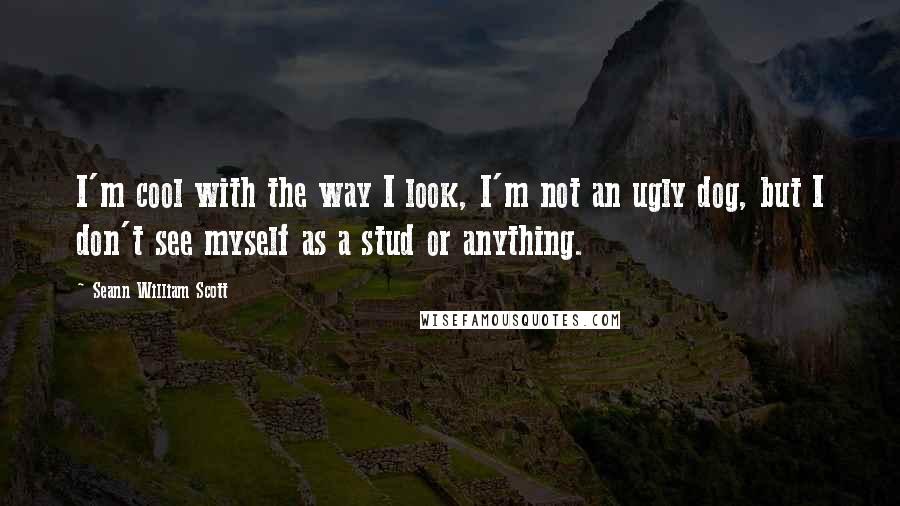 Seann William Scott Quotes: I'm cool with the way I look, I'm not an ugly dog, but I don't see myself as a stud or anything.