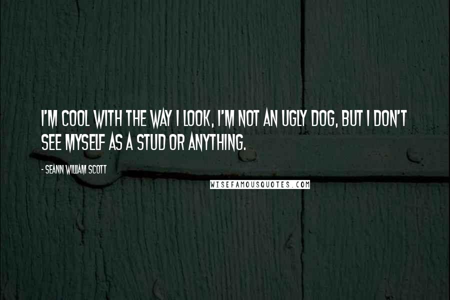 Seann William Scott Quotes: I'm cool with the way I look, I'm not an ugly dog, but I don't see myself as a stud or anything.