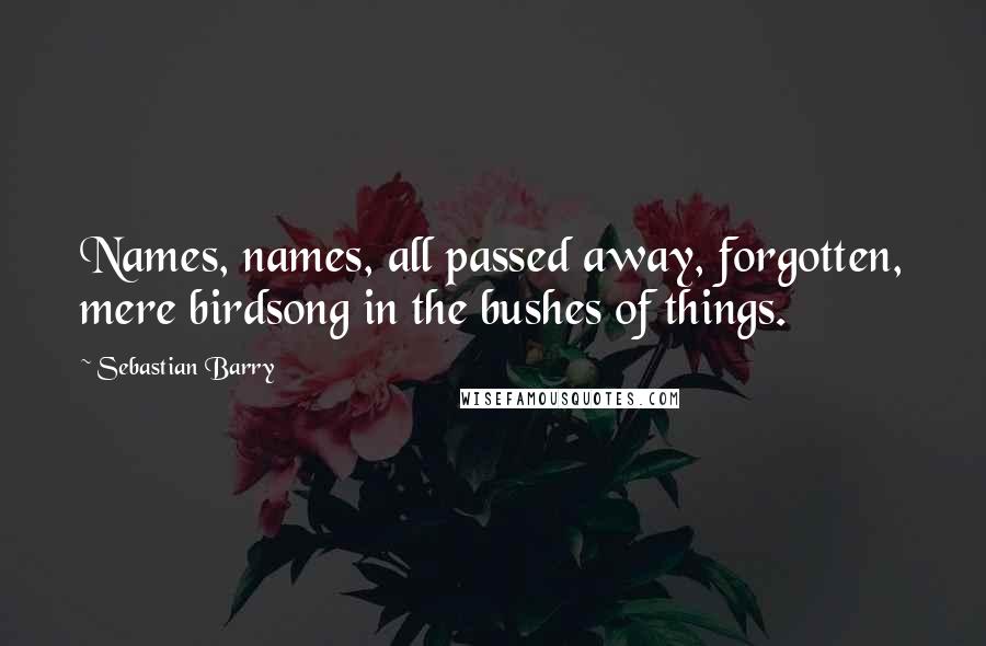 Sebastian Barry Quotes: Names, names, all passed away, forgotten, mere birdsong in the bushes of things.