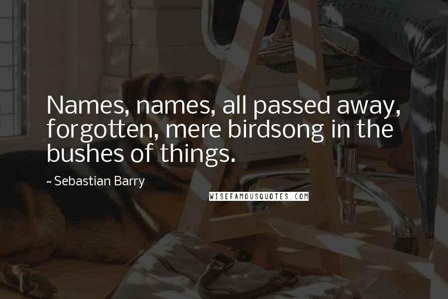 Sebastian Barry Quotes: Names, names, all passed away, forgotten, mere birdsong in the bushes of things.