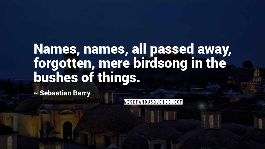 Sebastian Barry Quotes: Names, names, all passed away, forgotten, mere birdsong in the bushes of things.