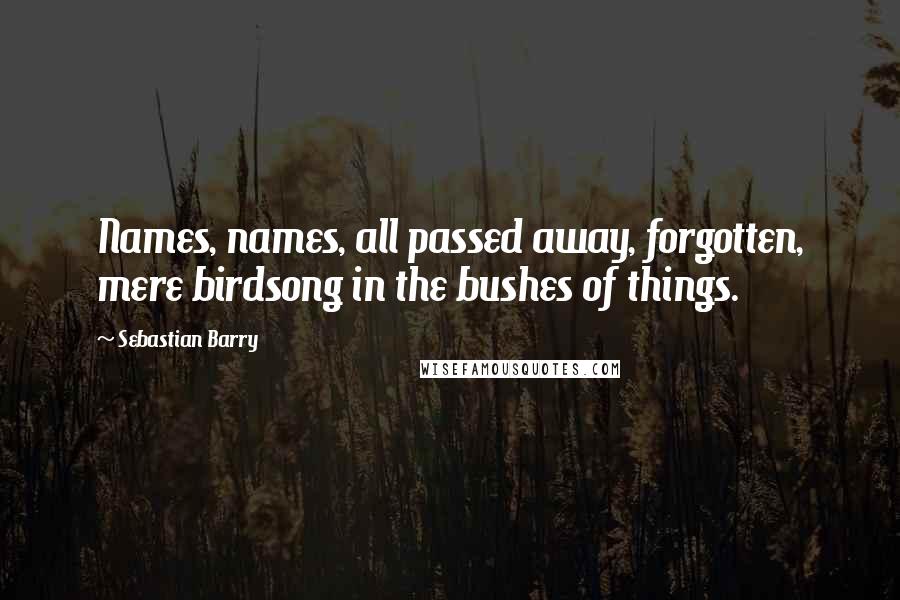 Sebastian Barry Quotes: Names, names, all passed away, forgotten, mere birdsong in the bushes of things.