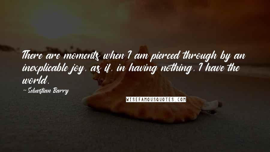 Sebastian Barry Quotes: There are moments when I am pierced through by an inexplicable joy, as if, in having nothing, I have the world.