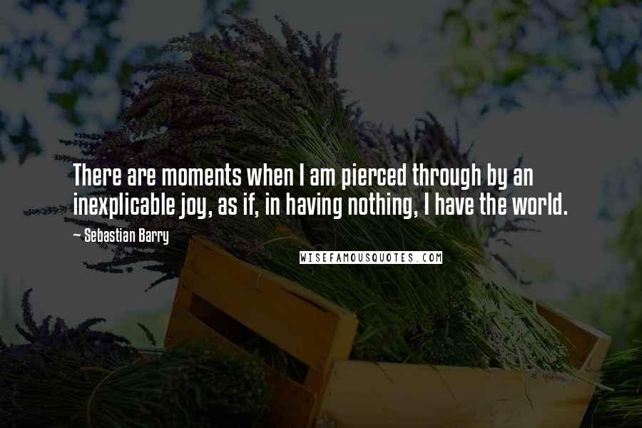 Sebastian Barry Quotes: There are moments when I am pierced through by an inexplicable joy, as if, in having nothing, I have the world.