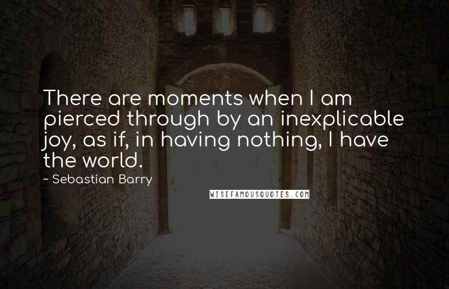 Sebastian Barry Quotes: There are moments when I am pierced through by an inexplicable joy, as if, in having nothing, I have the world.