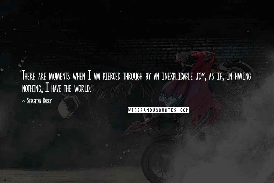 Sebastian Barry Quotes: There are moments when I am pierced through by an inexplicable joy, as if, in having nothing, I have the world.