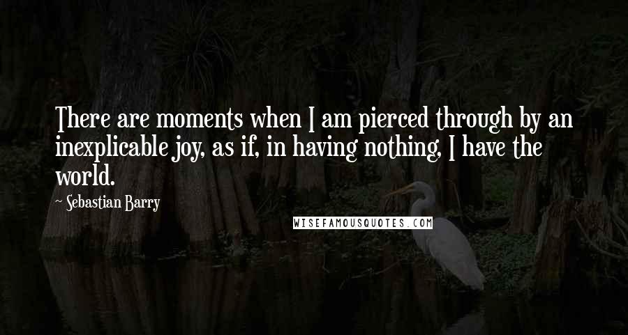 Sebastian Barry Quotes: There are moments when I am pierced through by an inexplicable joy, as if, in having nothing, I have the world.