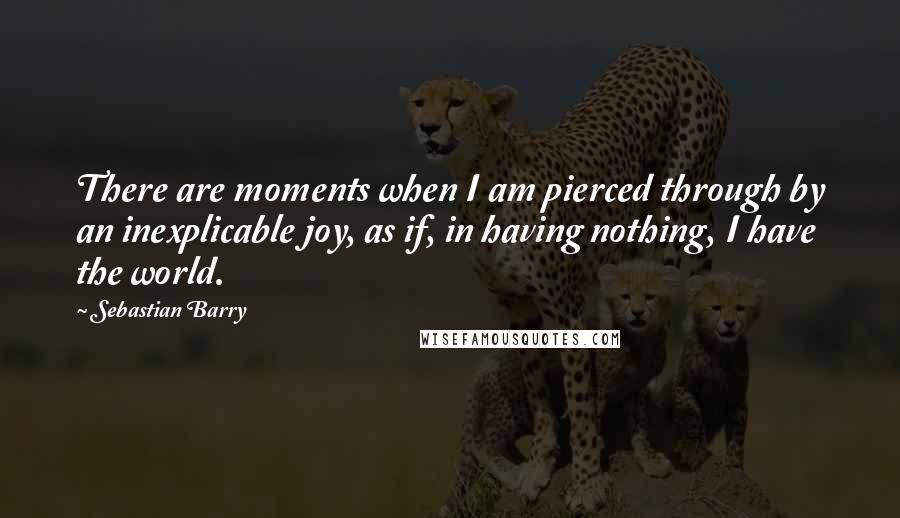 Sebastian Barry Quotes: There are moments when I am pierced through by an inexplicable joy, as if, in having nothing, I have the world.