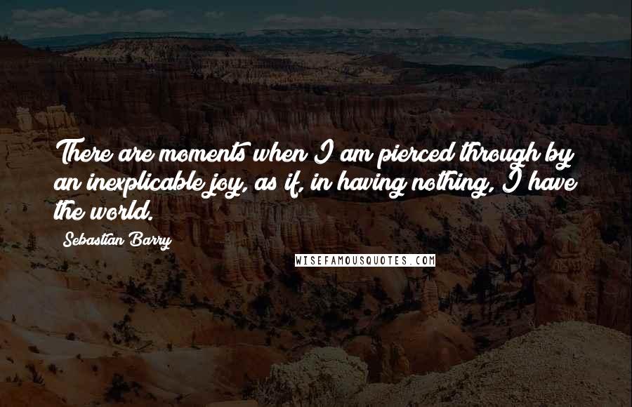 Sebastian Barry Quotes: There are moments when I am pierced through by an inexplicable joy, as if, in having nothing, I have the world.