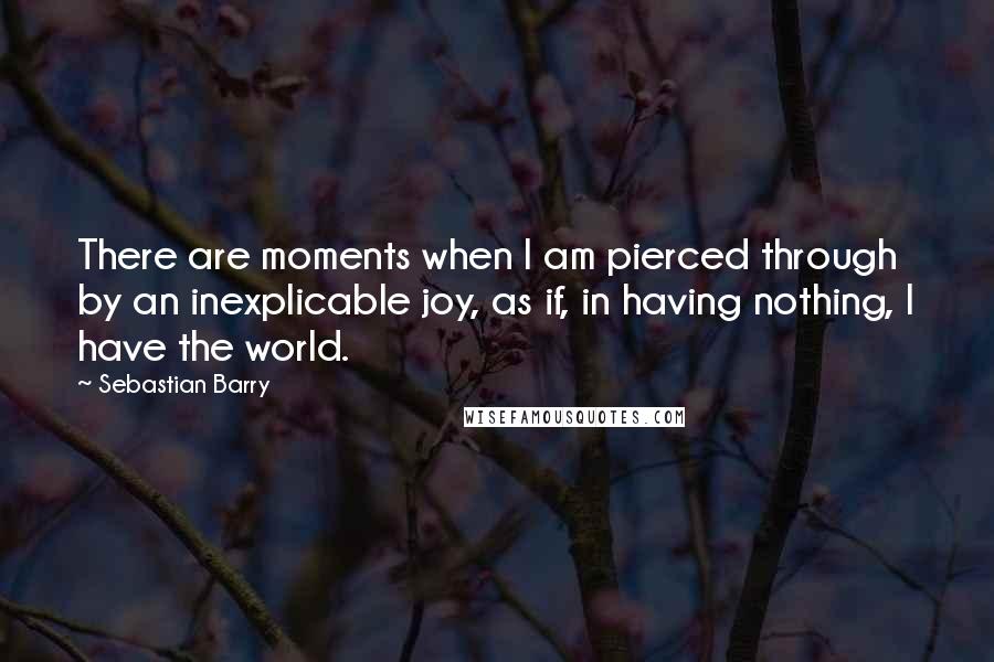 Sebastian Barry Quotes: There are moments when I am pierced through by an inexplicable joy, as if, in having nothing, I have the world.