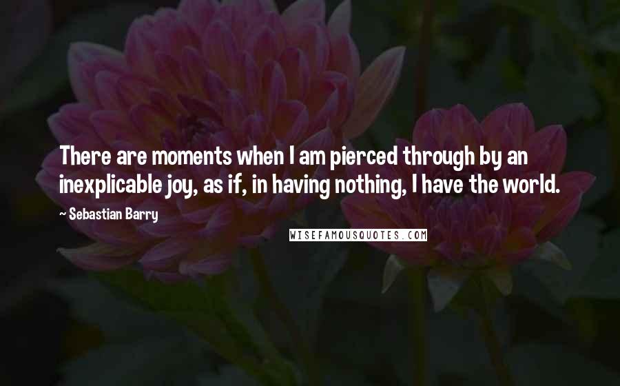 Sebastian Barry Quotes: There are moments when I am pierced through by an inexplicable joy, as if, in having nothing, I have the world.