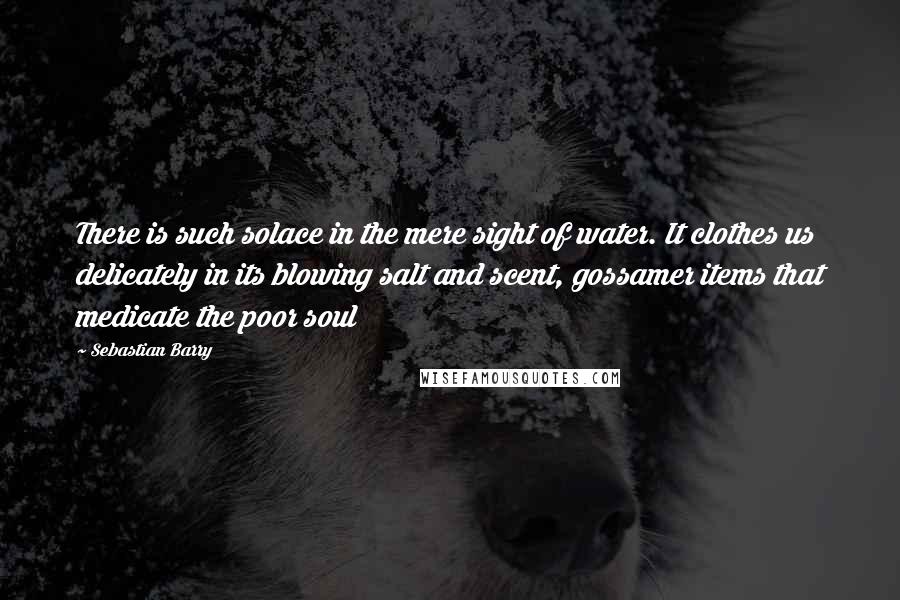 Sebastian Barry Quotes: There is such solace in the mere sight of water. It clothes us delicately in its blowing salt and scent, gossamer items that medicate the poor soul