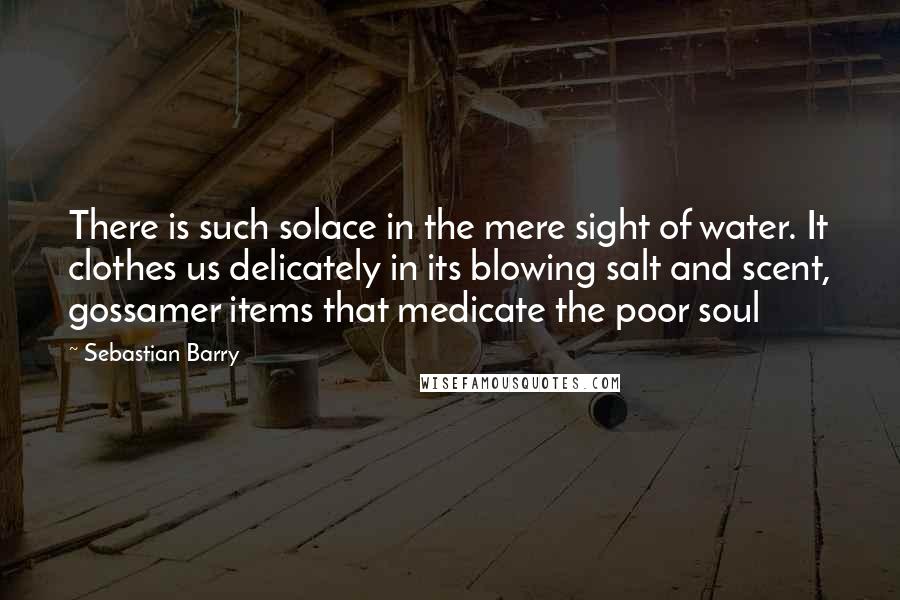 Sebastian Barry Quotes: There is such solace in the mere sight of water. It clothes us delicately in its blowing salt and scent, gossamer items that medicate the poor soul