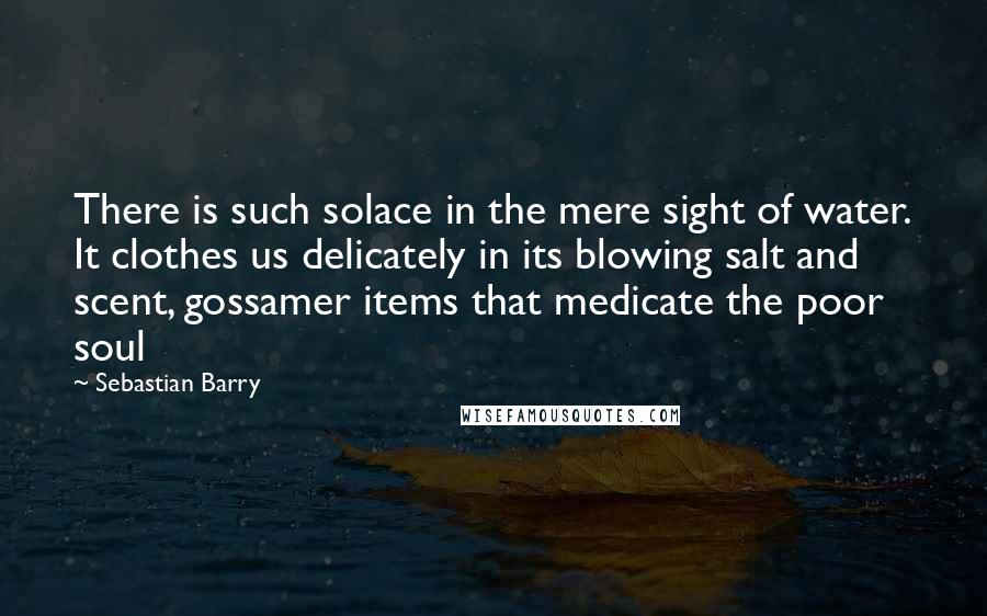 Sebastian Barry Quotes: There is such solace in the mere sight of water. It clothes us delicately in its blowing salt and scent, gossamer items that medicate the poor soul