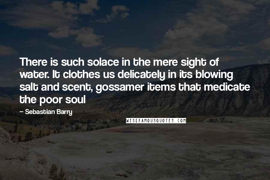 Sebastian Barry Quotes: There is such solace in the mere sight of water. It clothes us delicately in its blowing salt and scent, gossamer items that medicate the poor soul